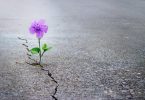 30 Powerful Quotes That Will Change Your Life