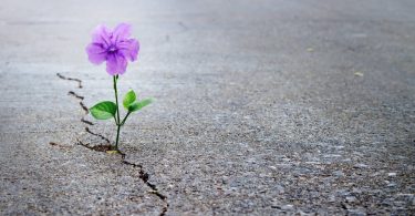 30 Powerful Quotes That Will Change Your Life