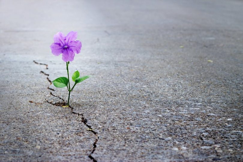 30 Powerful Quotes That Will Change Your Life