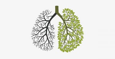 Simple ways to clean lungs in a few days. For smokers and non-smokers.