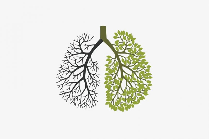 Simple ways to clean lungs in a few days. For smokers and non-smokers.