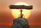 Powerful intentions that will transform you and everyone around you