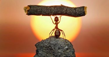 Powerful intentions that will transform you and everyone around you