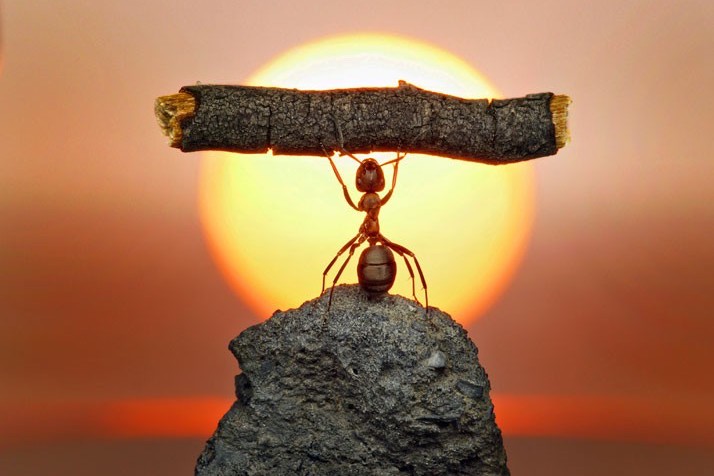 Powerful intentions that will transform you and everyone around you