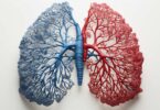 Tips for Smokers and Non-Smokers on How to Clean Your Lungs Fast